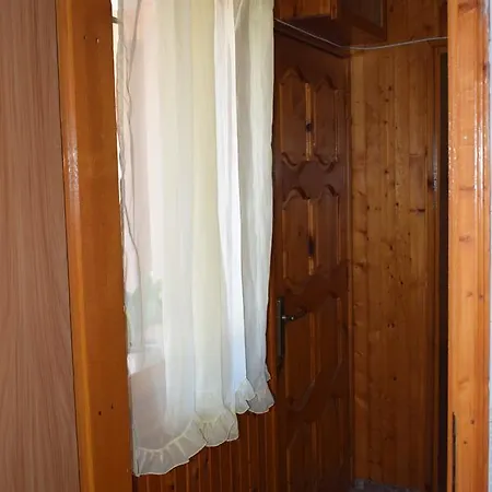 Nedyalkovi *