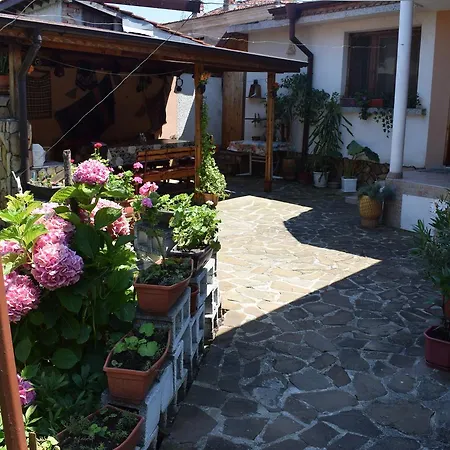 Сasa de vacaciones Nedyalkovi *